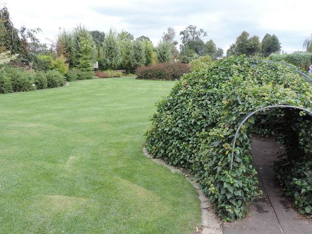 Igloo było, Eskimosa nie uraczysz.